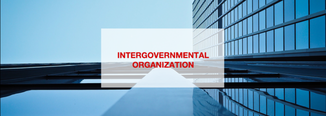 Organisation intergouvernementale _EN